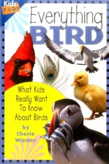 Everything Bird