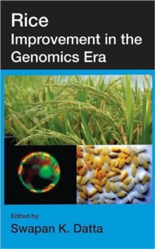 Image for Rice improvement in the genomics era