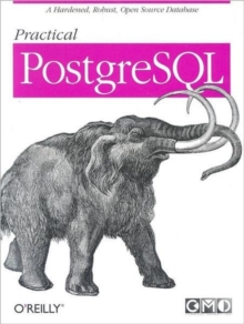 Image for Practical PostgreSQL