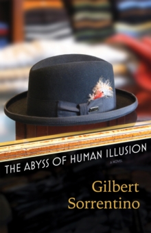 Image for The abyss of human illusion: a novel