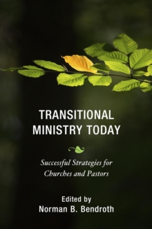 Image for Transitional Ministry Today