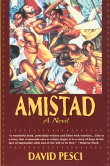 Image for Amistad