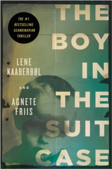 Image for The boy in the suitcase