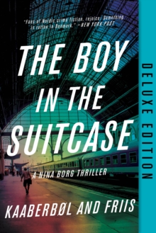 Image for The boy in the suitcase