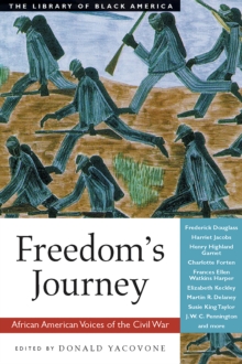 Image for Freedom's Journey: African American Voices of the Civil War