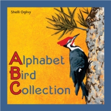 Image for Alphabet Bird Collection