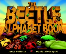 Image for The Beetle Alphabet Book