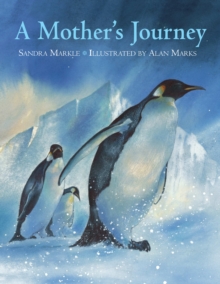 Image for A Mother's Journey