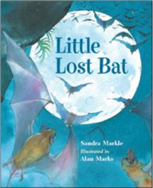 Image for Little Lost Bat