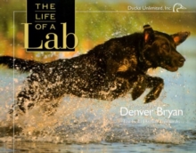 Life of a Lab