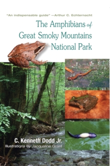 Amphibians Of Great Smoky Mountains