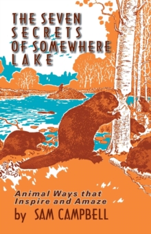 Image for The Seven Secrets of Somewhere Lake