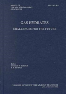 Image for Gas Hydrates: Third International Conference