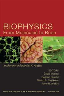 Image for Biophysics From Molecules to Brain