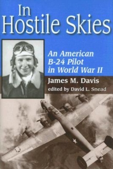 Image for In Hostile Skies : An American B-24 Pilot in World War II