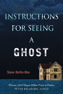 Image for Instructions for Seeing a Ghost