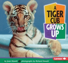 Image for A tiger cub grows up