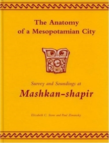 Anatomy of a Mesopotamian City