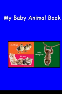 Image for My Baby Animal Book