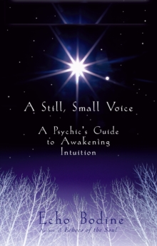 Image for A still, small voice: a psychic's guide to awakening intuition