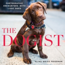 Image for The dogist
