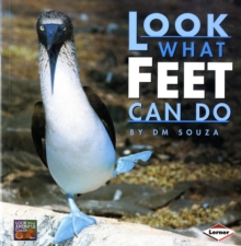 Image for Look What Feet Can Do