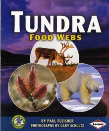 Image for Tundra Food Webs