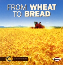 Image for From Wheat to Bread