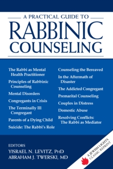 Image for A Practical Guide to Rabbinic Counseling : A Jewish Lights Classic Reprint