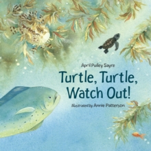 Image for Turtle, turtle, watch out!