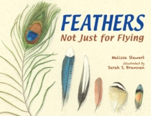 Image for Feathers  : not just for flying