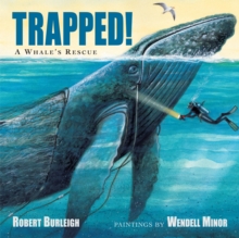 Trapped! A Whale’s Rescue