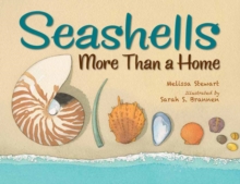 Image for Seashells : More Than a Home