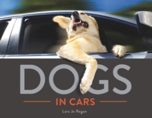 Image for Dogs in cars