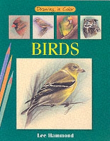 Image for Drawing in Color: Birds