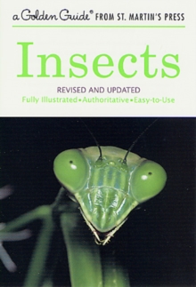 Image for Insects : Revised and Updated