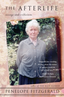 Image for The Afterlife : Essays and Criticism