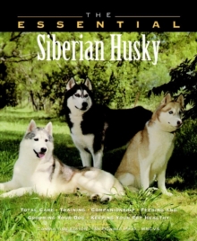 Image for The essential Siberian husky
