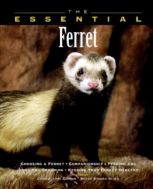 Image for The essential ferret