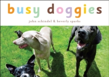 Image for Busy Doggies