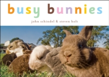 Image for Busy Bunnies