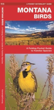 Image for Montana Birds : A Folding Pocket Guide to Familiar Species