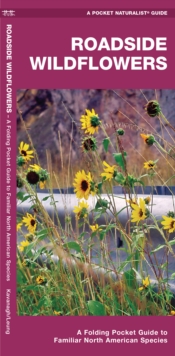 Image for Roadside Wildflowers : A Folding Pocket Guide to Familiar North American Species