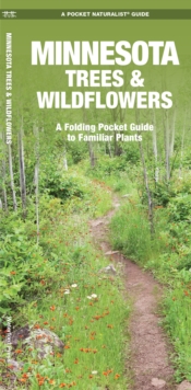Image for Minnesota Trees & Wildflowers : A Folding Pocket Guide to Familiar Species