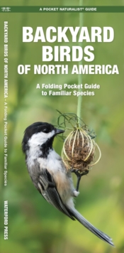 Backyard Birds of North America