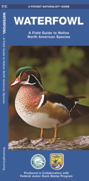 Image for Waterfowl : A Field Guide to Native North American Species