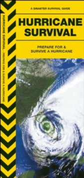 Image for Hurricane Survival