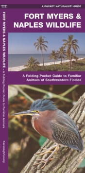 Image for Fort Myers & Naples Wildlife : A Folding Pocket Guide to Familiar Animals of Southwestern Florida