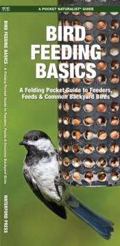 Image for Bird Feeding Basics : An Introduction to Feeders, Feeds & Common Backyard Birds