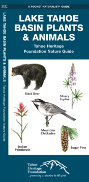 Image for Lake Tahoe Basin Plants & Animals : Tahoe Heritage Foundation Nature Guide
